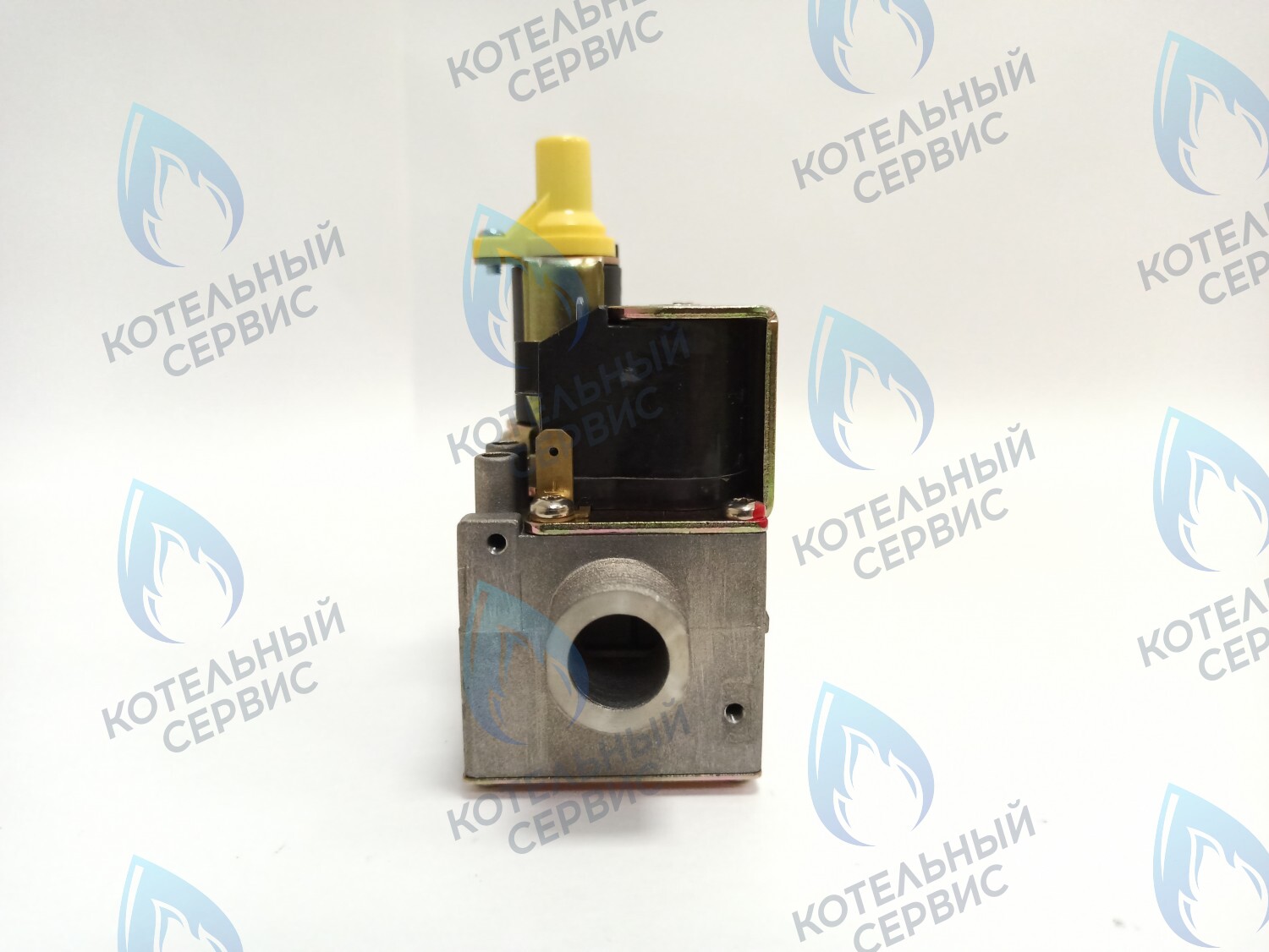 AA10021032 Газовый клапан Electrolux (AA10021032) в Орле