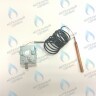 39816110 Термостат дымовых газов предохранительный 110C  (36401810) FERROLI в Орле