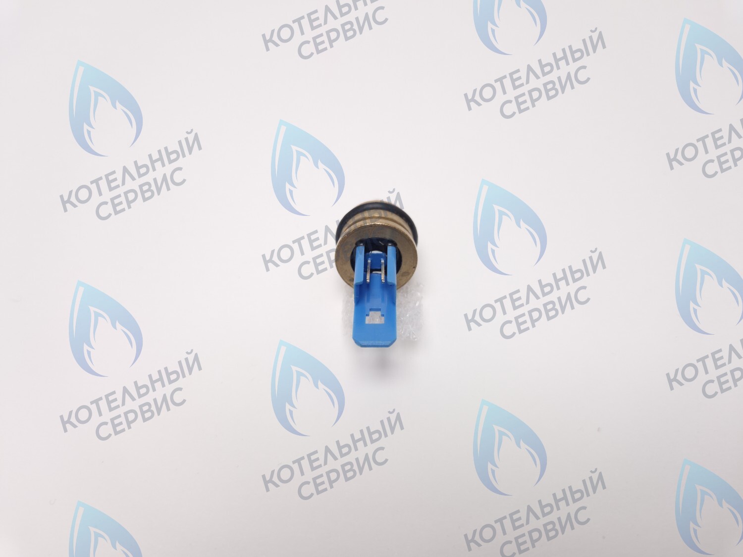 TS001-BLUE Датчик температуры NTC Ariston Egis в Орле