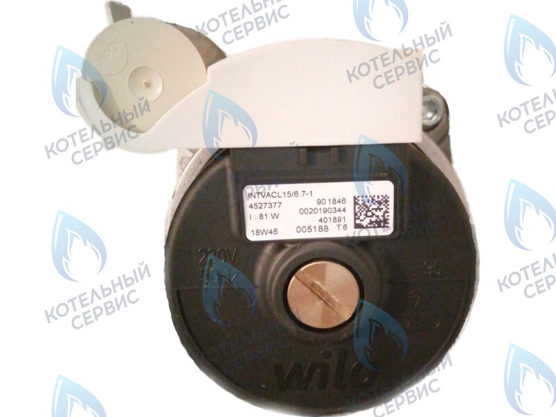 0020186161 Двигатель насоса Protherm Lynx Condens 18/25 MKV -A (H-RU) (81W) (без улитки) (против часовой, втулка 40мм, колесо 68/21мм) в Орле