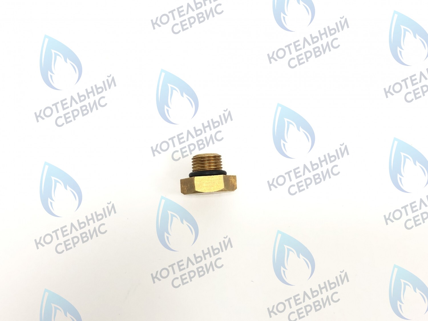 ZZ006 Заглушка G1/8" в Орле