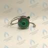 PH-W21CCW60-DA90PR-5PIN Двигатель насоса Duca APW-R 15-6.2A (против часовой стрелки) PROTHERM Пантера H-RU (0020197549, 0020209790) (замена WILO INTVACL 15/6.7-2) ПАНТЕРА 35 KTV H-RU (0020186162) (замена VACL 15/7) в Орле