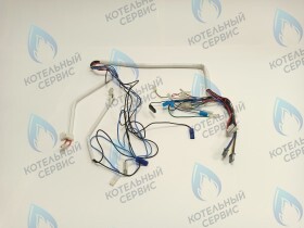 Комплект проводов Ferroli (RU) Domina F 13-20 Pro (398065810)