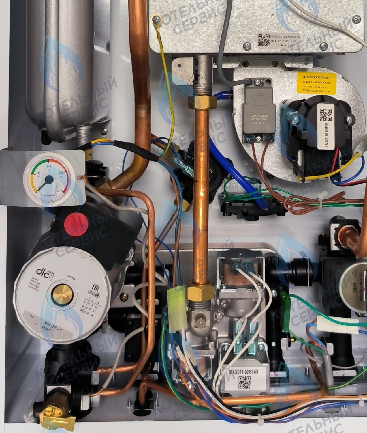 PMDS1AW60-WC86DS-Комп Насос циркуляционный 6м для DAESUNG A16-24 MAX (52050118, 52050130), ARDERIA 2.13-20, CELTIC-DS 3.13-3.20 (2050118, 2050130) (не подходит для MASTER GAS SEOUL и DAESUNG A 2019, где насос посередине) в Орле