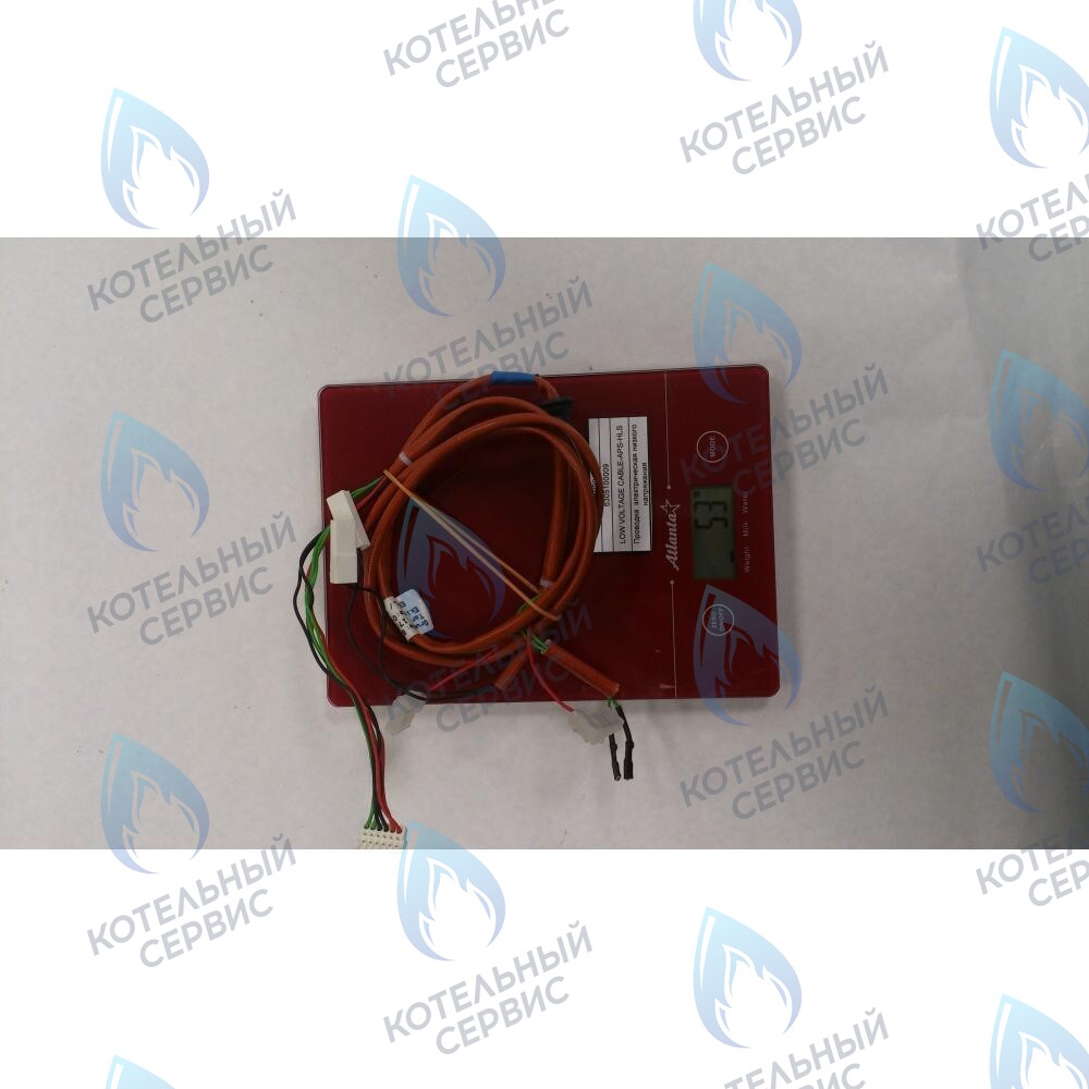 6305100009 Проводка  электрическая низкого  напряжения BAXI в Орле