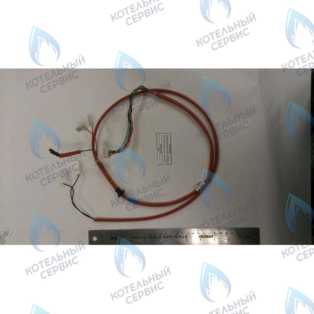 6305100009 Проводка  электрическая низкого  напряжения BAXI в Орле