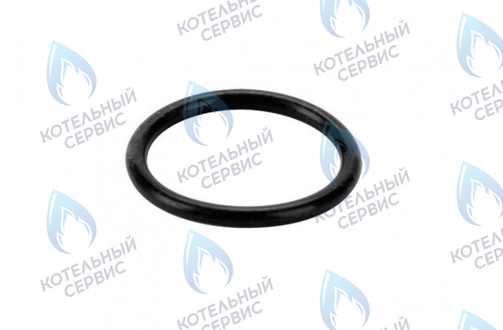 0020118667 Прокладка 14,2x3мм PROTHERM в Орле