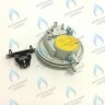 BI1596 102 Прессостат (BI1596 102) BIASI в Орле