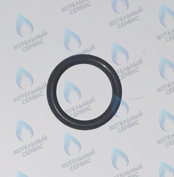 45560250 Кольцо уплотнительное FERROLI в Орле
