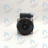PH-W30CW70-WL132BX Двигатель насоса (без улитки) WILO RS 15/7 132w (30мм по часовой) FERROLI, FONDITAL, BAXI и др в Орле
