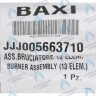 5663710 Горелка (13 элементов) BAXI в Орле