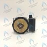 PH-W21CCW60-GR110BB Двигатель насоса GRUNDFOS 15-60 для котла BOSCH 6000/2000 & BUDERUS U072 в Орле