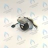 PH-W21CCW50-WA79PR-5PIN-Комп Двигатель насоса 1000L/H аналог WILO INTVACL 15/5-2 Protherm Гепард 23 MTV / MOV вер. 19, Пантера 25 KTV / KOV, 30 KTV вер. 19 (без улитки) (против часовой, втулка 35мм, колесо 68/21мм) (0020097216, 0020197548) в Орле