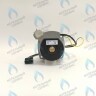 PH-W21CCW50-WA79PR-5PIN-Комп Двигатель насоса 1000L/H аналог WILO INTVACL 15/5-2 Protherm Гепард 23 MTV / MOV вер. 19, Пантера 25 KTV / KOV, 30 KTV вер. 19 (без улитки) (против часовой, втулка 35мм, колесо 68/21мм) (0020097216, 0020197548) в Орле