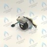 PH-W21CCW50-WA79PR-5PIN-Комп Двигатель насоса 1000L/H аналог WILO INTVACL 15/5-2 Protherm Гепард 23 MTV / MOV вер. 19, Пантера 25 KTV / KOV, 30 KTV вер. 19 (без улитки) (против часовой, втулка 35мм, колесо 68/21мм) (0020097216, 0020197548) в Орле
