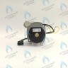 PH-W21CCW50-WA79PR-5PIN-Комп Двигатель насоса 1000L/H аналог WILO INTVACL 15/5-2 Protherm Гепард 23 MTV / MOV вер. 19, Пантера 25 KTV / KOV, 30 KTV вер. 19 (без улитки) (против часовой, втулка 35мм, колесо 68/21мм) (0020097216, 0020197548) в Орле