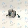 PH-W21CCW50-WA79PR-5PIN-Комп Двигатель насоса 1000L/H аналог WILO INTVACL 15/5-2 Protherm Гепард 23 MTV / MOV вер. 19, Пантера 25 KTV / KOV, 30 KTV вер. 19 (без улитки) (против часовой, втулка 35мм, колесо 68/21мм) (0020097216, 0020197548) в Орле