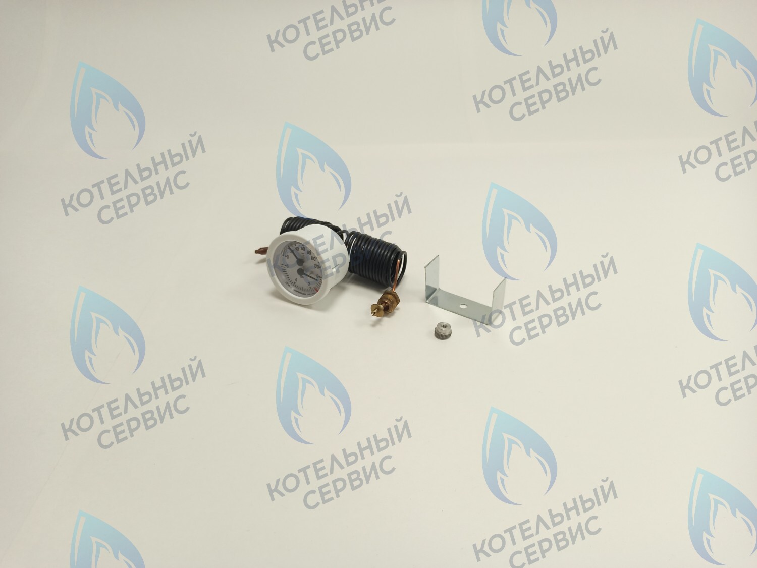 39806020 Термоманометр 0-6 bar 0-120C  (36400790) FERROLI PEGASUS F3 в Орле