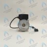 PH-W21CW60-WC83-5PIN-Комп Двигатель насоса аналог WILO VHSL15/6 HE-2 (по часовой стрелке) PROTHERM Лев, Пантера V.18 (0020078492), Скат K13, Дельфин (0020094635), Скат V14 (0010025841) VAILLANT atmo/turboTEC 20-28 КВТ (0020213167, 0020005803), eloBLOCK (0020107584) в Орле