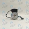 PH-W21CW60-WC83-5PIN-Комп Двигатель насоса аналог WILO VHSL15/6 HE-2 (по часовой стрелке) PROTHERM Лев, Пантера V.18 (0020078492), Скат K13, Дельфин (0020094635), Скат V14 (0010025841) VAILLANT atmo/turboTEC 20-28 КВТ (0020213167, 0020005803), eloBLOCK (0020107584) в Орле