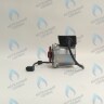 PH-W21CW60-WC83-5PIN-Комп Двигатель насоса аналог WILO VHSL15/6 HE-2 (по часовой стрелке) PROTHERM Лев, Пантера V.18 (0020078492), Скат K13, Дельфин (0020094635), Скат V14 (0010025841) VAILLANT atmo/turboTEC 20-28 КВТ (0020213167, 0020005803), eloBLOCK (0020107584) в Орле