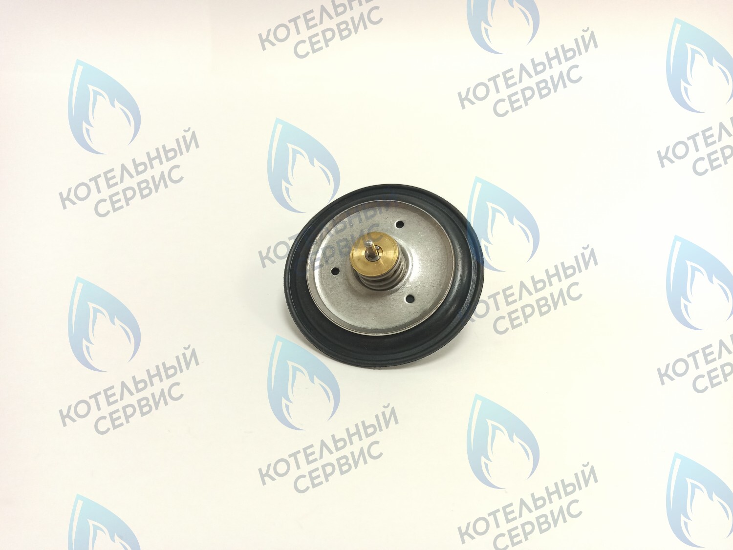 GGS101 Мембрана (диафрагма) гидравлического переключателя 72мм (Immergas 3.013125) в Орле