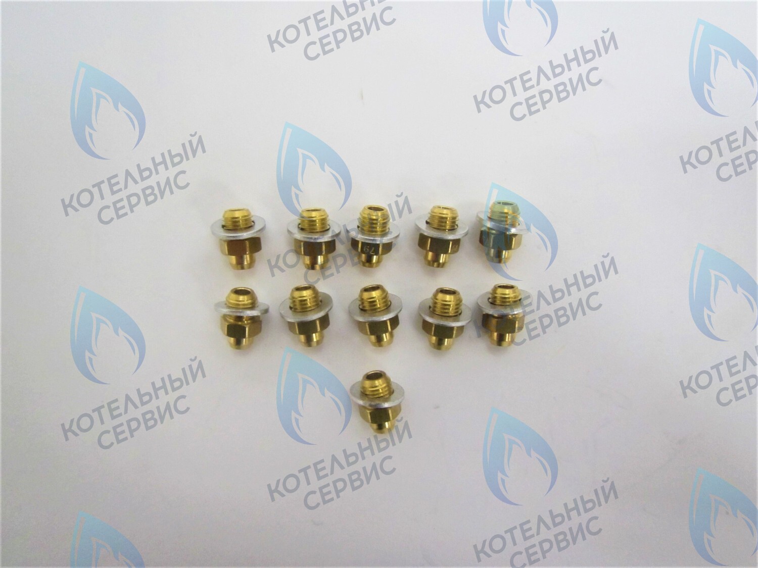 39819600 Комплект форсунок LPG на сжиженный газ D0,79 (11шт/комп)  (ITA398907242) FERROLI в Орле