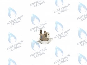 Предохранительный ограничитель температуры BOSCH