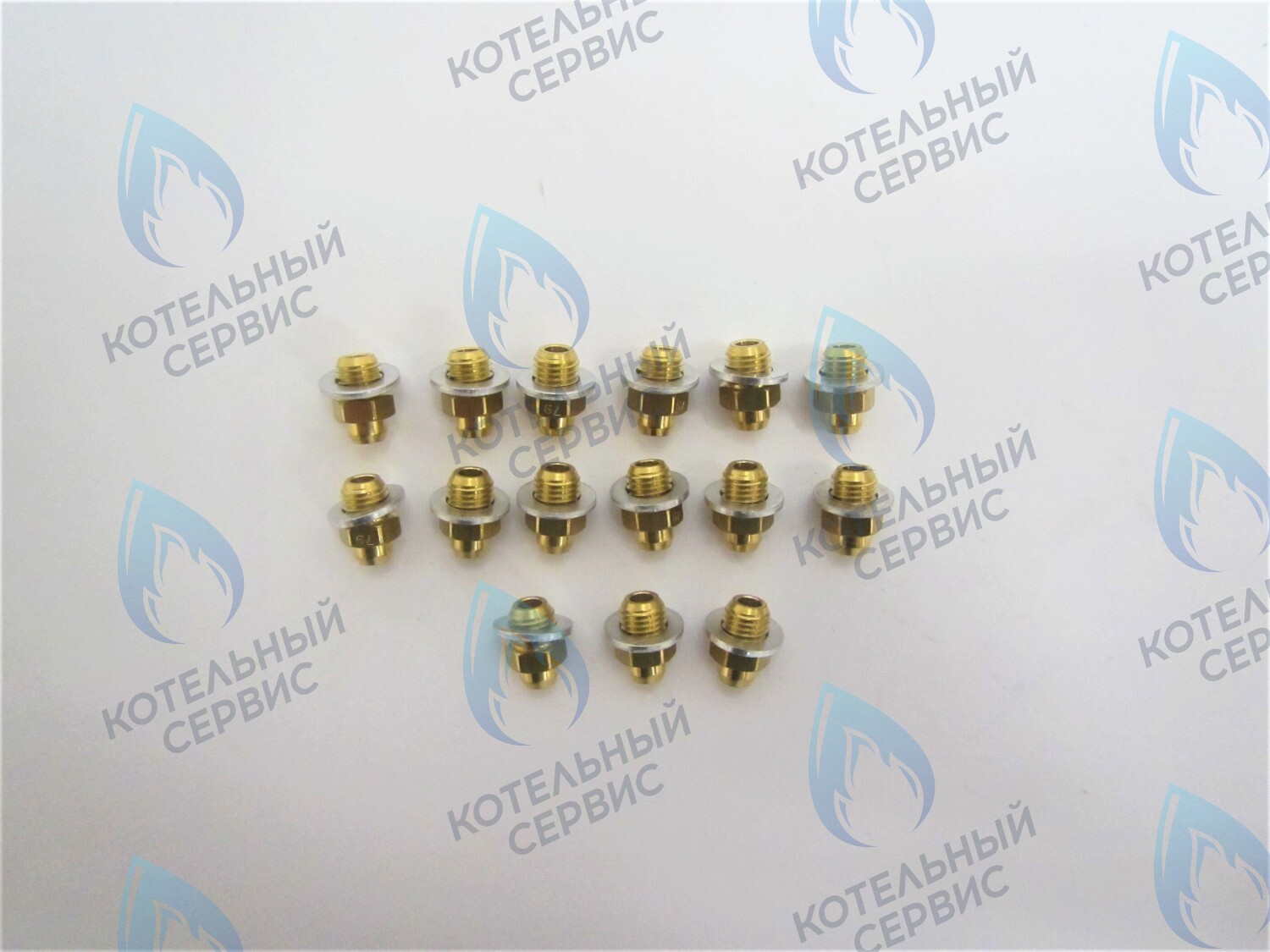 39819710 Комплект форсунок LPG на сжиженный газ D0,79 (15шт/комп) FERROLI в Орле