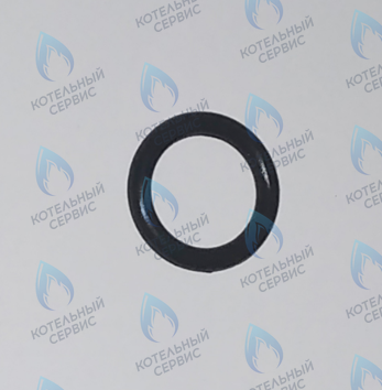 45560440 Прокладка резиновая круглая FERROLI в Орле