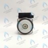 PH-W30CW50-DW84BX Двигатель насоса DUCA BPS15-5D (без улитки) (по часовой стрелке) 15/5 (замена WILO 15/5 BAXI, NEVALUX, THERMONA, PROTHERM СКАТ K11) в Орле