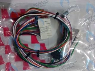 0020119603 Жгут проводов PROTHERM в Орле