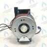 PMDW1A-DW85-Комп Насос циркуляционный Daewoo DWMG-5070PL (100-300 MSC-2008) (3317416010,3317418705) в Орле