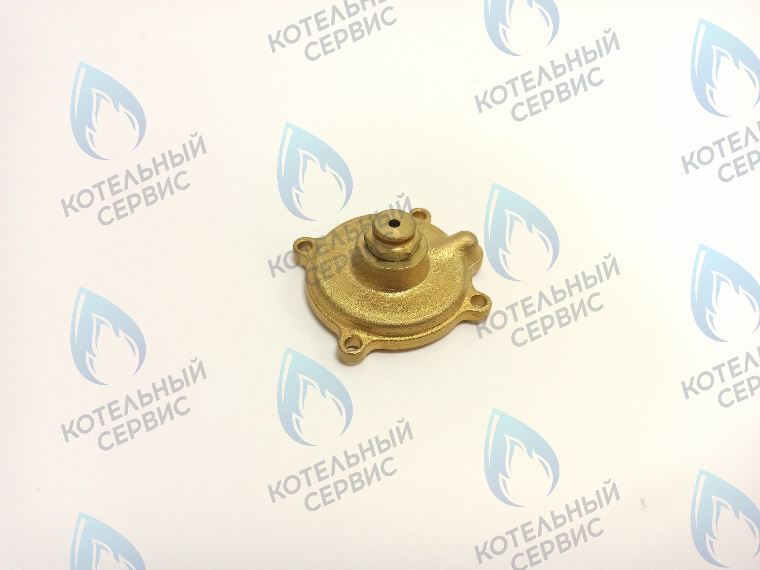 70102002 Крышка датчика давления в сборе ELECTROLUX в Орле