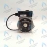 PH-G32CCW50-GR85-3PIN Двигатель насоса GRUNDFOS VPAL-5/2M 85W для VAILLANT (0020014171) в Орле