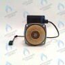 PH-G32CCW50-GR85-3PIN Двигатель насоса GRUNDFOS VPAL-5/2M 85W для VAILLANT (0020014171) в Орле