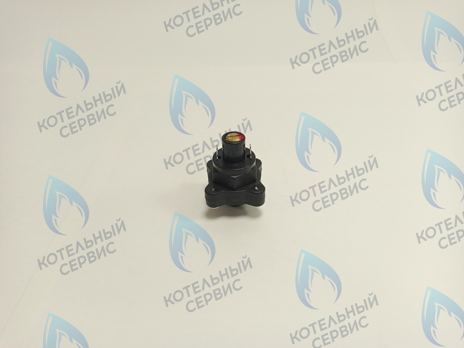 PS015-02 Датчик (замкнут/разомкнут) минимал. давления теплоносителя GAZLUX после 09.2007, GAZECO 18/24  (09-2076, 09-4076) в Орле