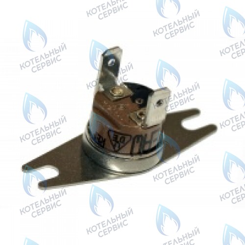 0020049261 Термостат продуктов сгор.65+3°C PROTHERM в Орле