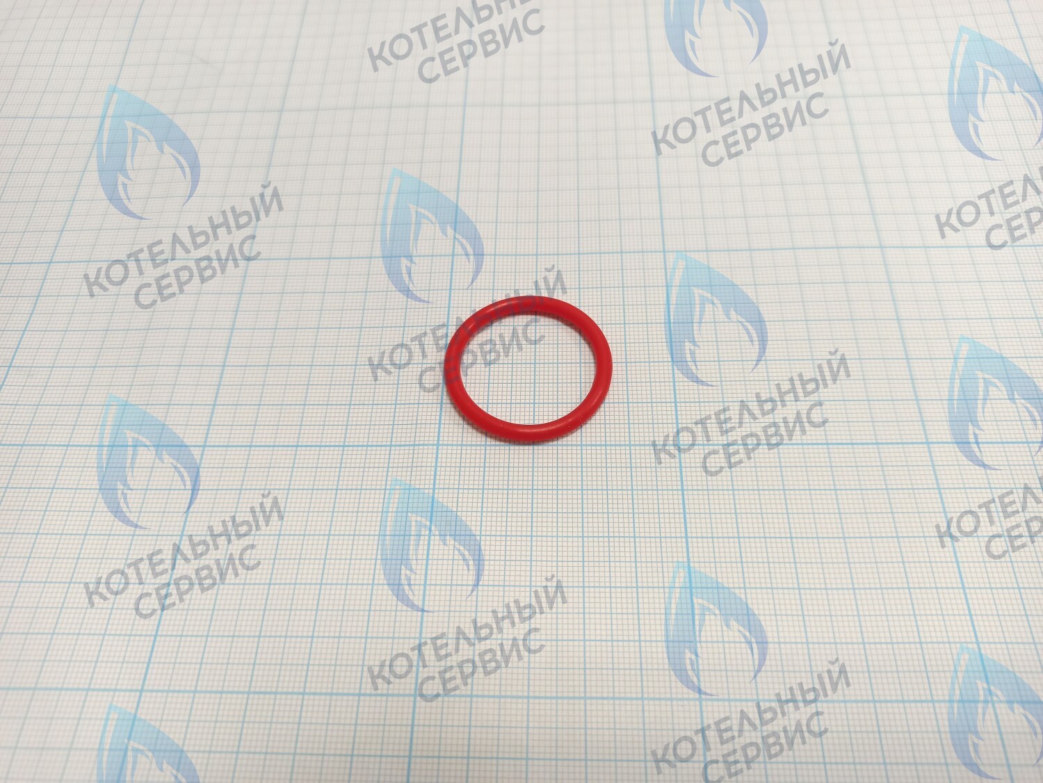 20007016A Кольцо уплотнительное O-ring Navien для фильтра (BH2423087A) в Орле