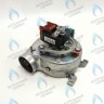 BI1366 102 Вентилятор 24 кВт BIASI Delta 23 SM (BI1366 102) в Орле