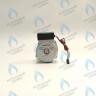 PH-N28CW60-GN95 Двигатель насоса GM-PUMP NVN 15/6 Navien (30000469A, 30000469B, NAPU9GLPCT36) в Орле