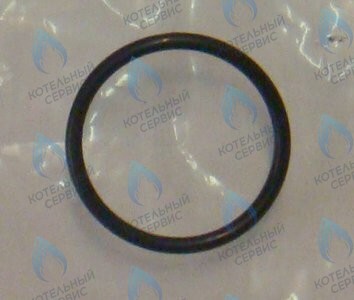0020097226 Прокладка комплект (10 шт.) PROTHERM в Орле