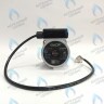 PH-G30CCW50-DG85-5PIN Двигатель насоса DUCA VPG-5/2A 15-50 для VPAL-5/2A Vaillant TEC Plus 3-5 (178983) в Орле