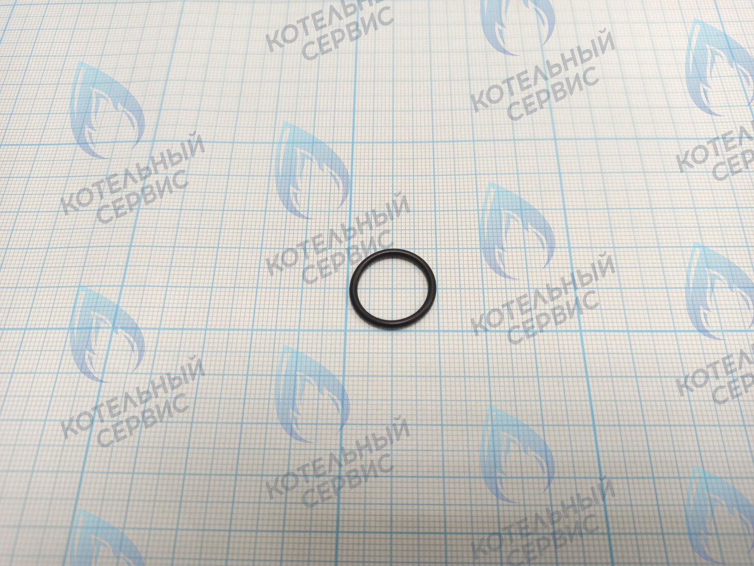 BI1001 131 Прокладка O-Ring 1,78 X 15,6 (BI1001 131) в Орле