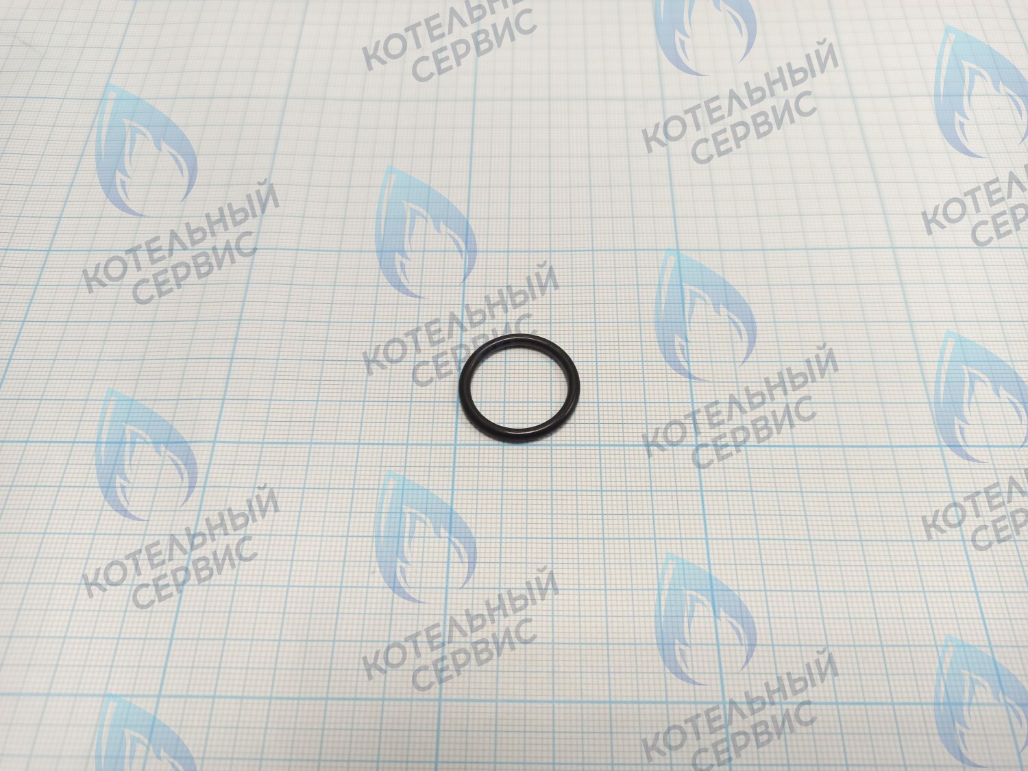 BI1001 130 Прокладка O-Ring 2,6 X 20,6 (BI1001 130) в Орле