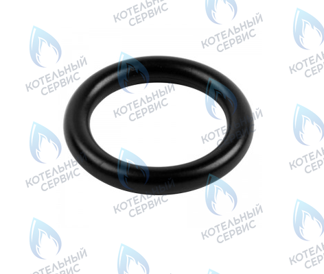 0020097956 Прокладка 2,4x9,6 мм комплект PROTHERM (10 шт.) в Орле