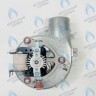 AF013-35W-S Вентилятор дымоудаления SOHON аналог BAXI Eco Life, Eco Star (7731816) в Орле