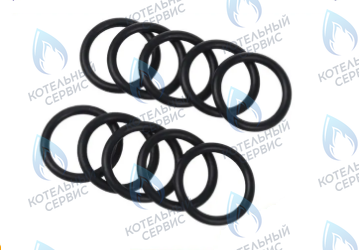 0020097203 Прокладка 2,4x9,6 мм комплект PROTHERM (10 шт.) в Орле