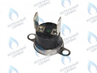 0020027661 Термостат биметаллич.обратимый 80°С PROTHERM в Орле