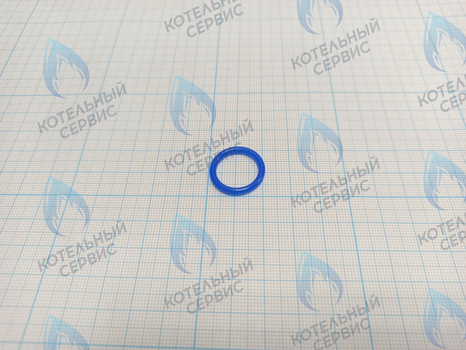 20007019A Кольцо уплотнительное O-ring Navien (SILICONE,P16,Bl) (BH2423090A) в Орле